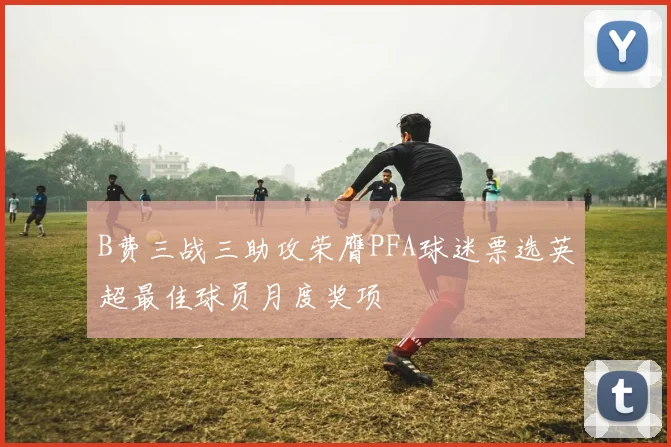B费三战三助攻荣膺PFA球迷票选英超最佳球员月度奖项